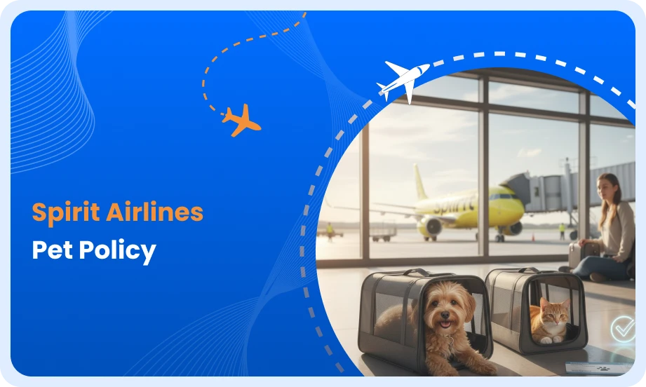 Spirit Airlines pet travel policy explained
