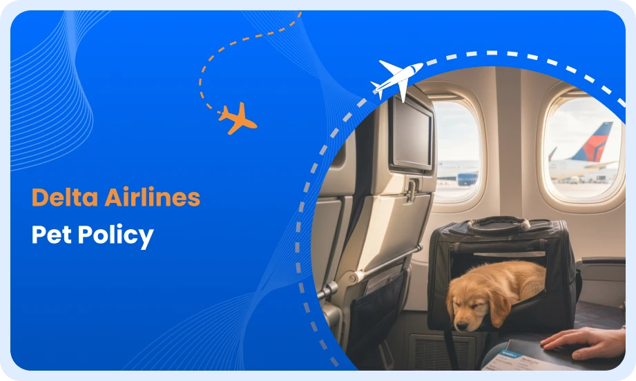 Delta Airlines Pet Policy for traveling with pets on flights